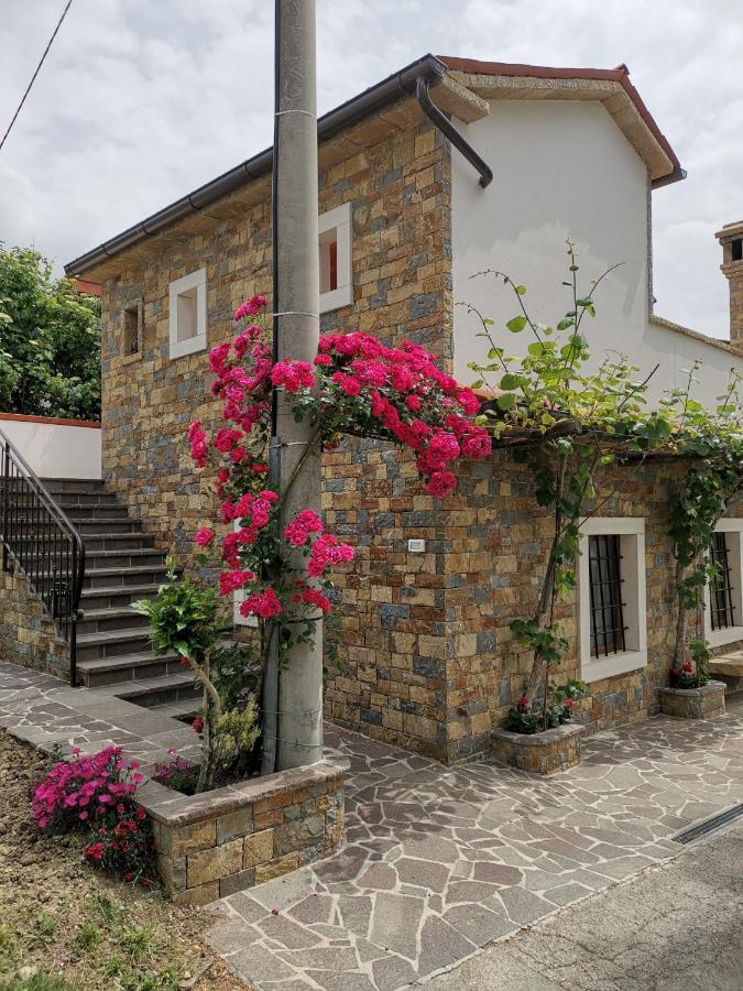 Kmetija Jogan, Wines & Apartments Pobegi Экстерьер фото