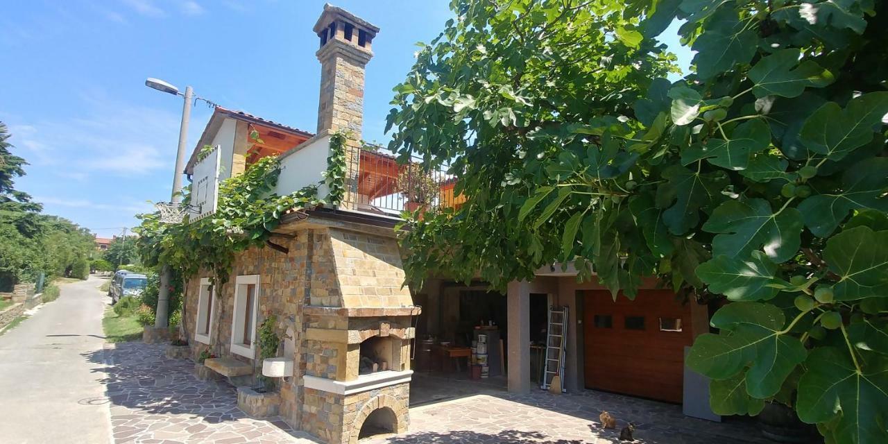 Kmetija Jogan, Wines & Apartments Pobegi Экстерьер фото
